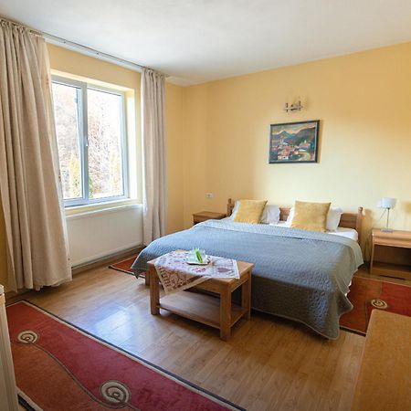 Pensiunea Limpedea Baia Sprie Extérieur photo