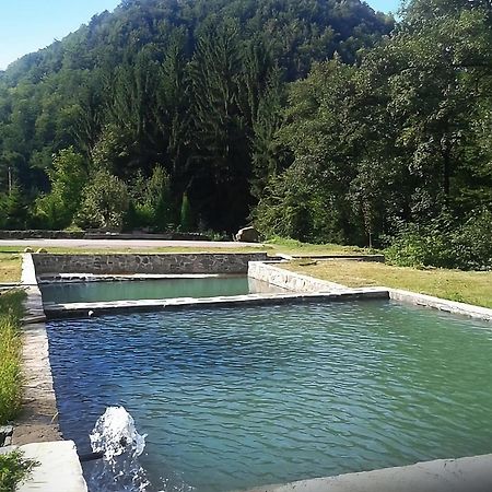 Pensiunea Limpedea Baia Sprie Extérieur photo